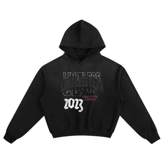 LMTLSS CLXN vol.2 Hoodie